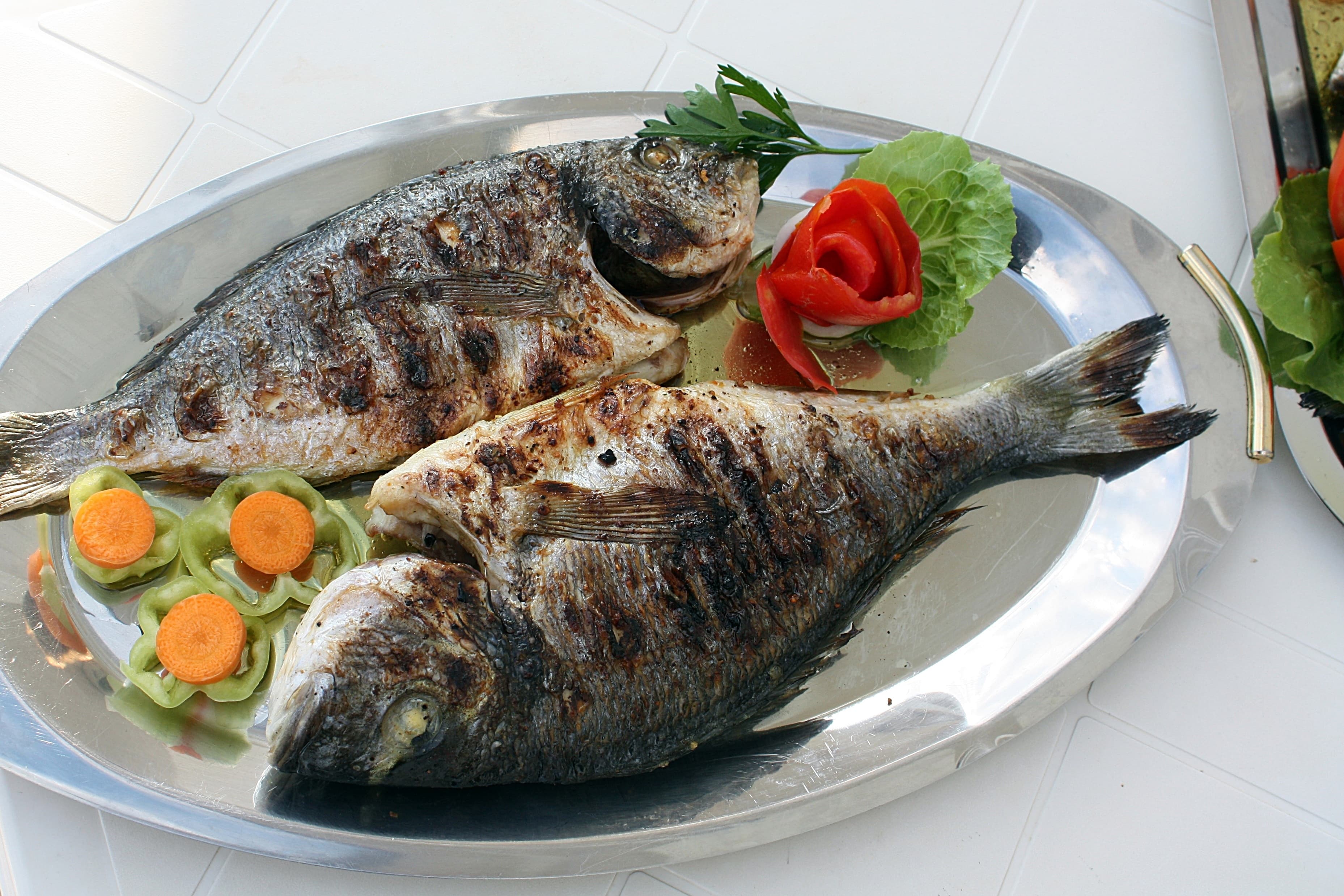 سمك فيليه بصوص كريمي